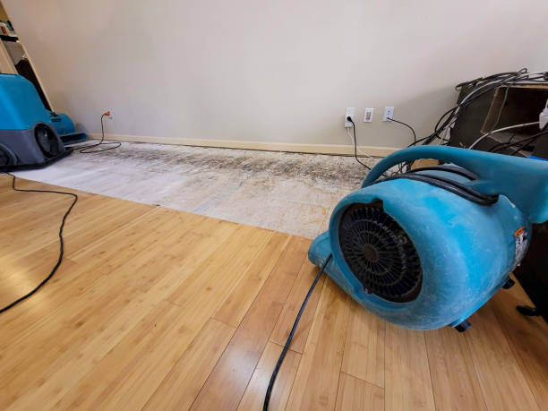 Professional Burst Pipe Water Damage technician working in Buckingham, FL